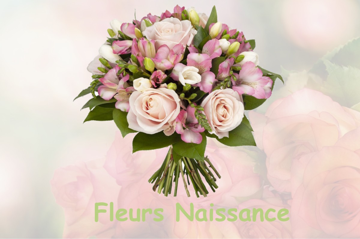 fleurs naissance NOIRON-SUR-SEINE